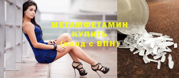 шишки Беломорск