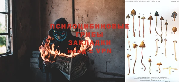 ГАЛЛЮЦИНОГЕННЫЕ ГРИБЫ Белоозёрский