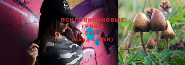 spice Белокуриха