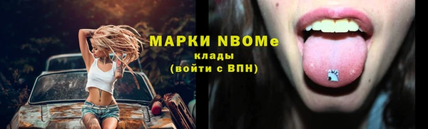 шишки Беломорск