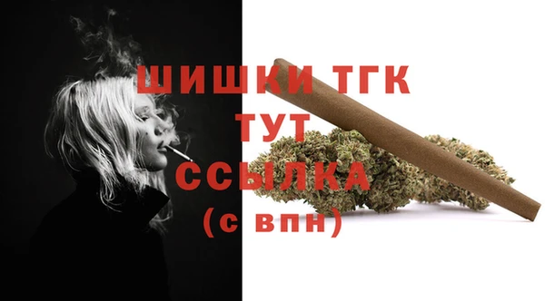 ГАЛЛЮЦИНОГЕННЫЕ ГРИБЫ Белоозёрский