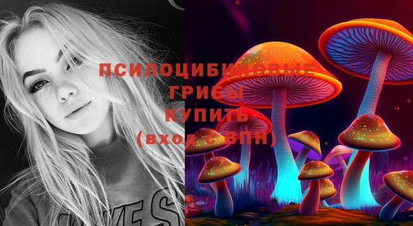 шишки Беломорск