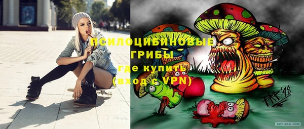 ГАЛЛЮЦИНОГЕННЫЕ ГРИБЫ Белоозёрский