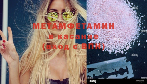 шишки Беломорск