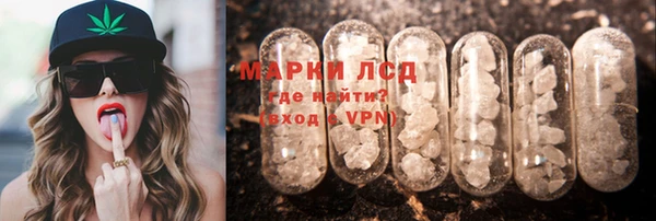 ГАЛЛЮЦИНОГЕННЫЕ ГРИБЫ Белоозёрский