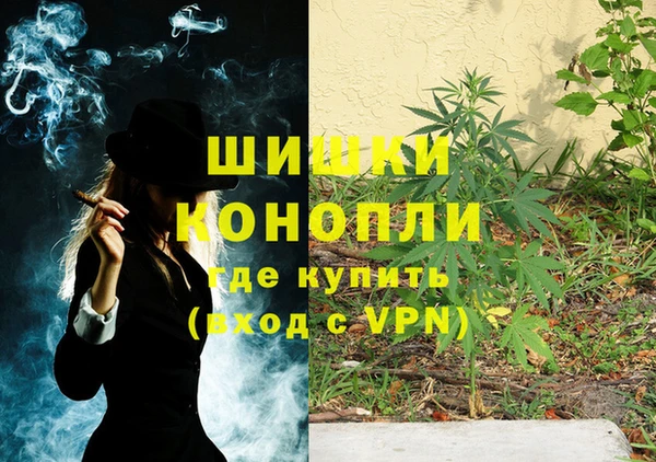 ГАЛЛЮЦИНОГЕННЫЕ ГРИБЫ Белоозёрский